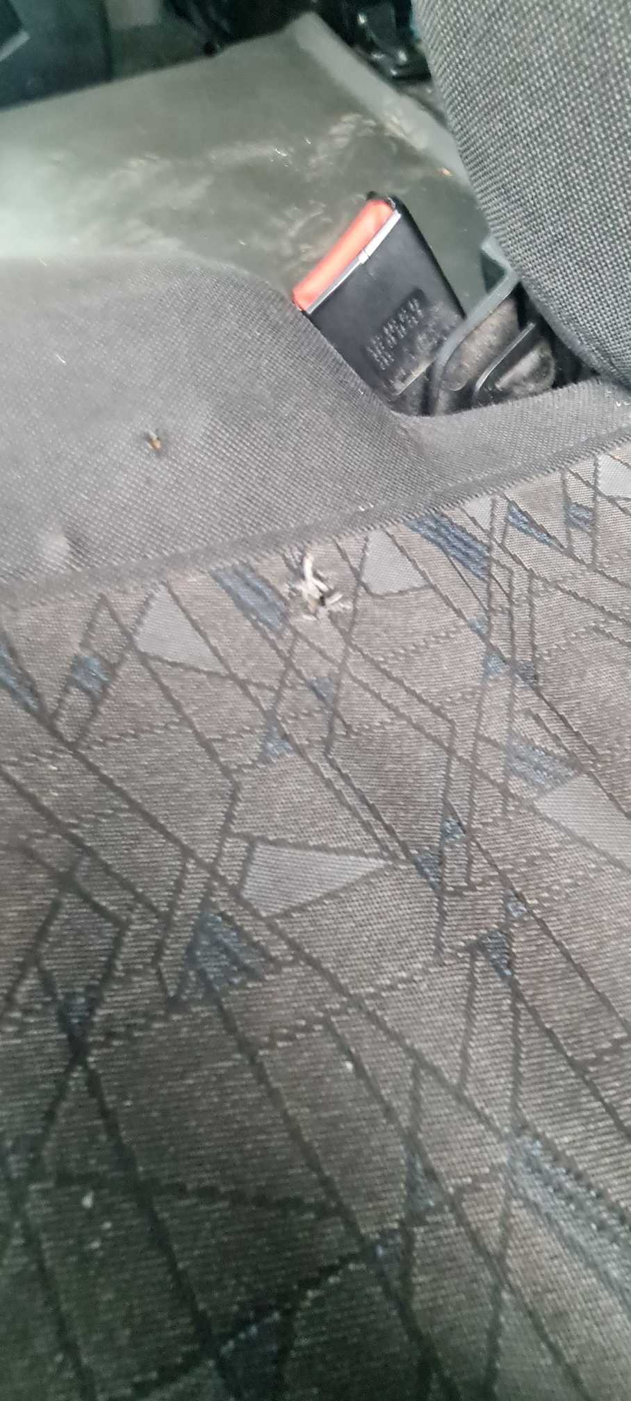 Рефрижератор на ш.КАМАЗ 5325 2022 г. - фото 46