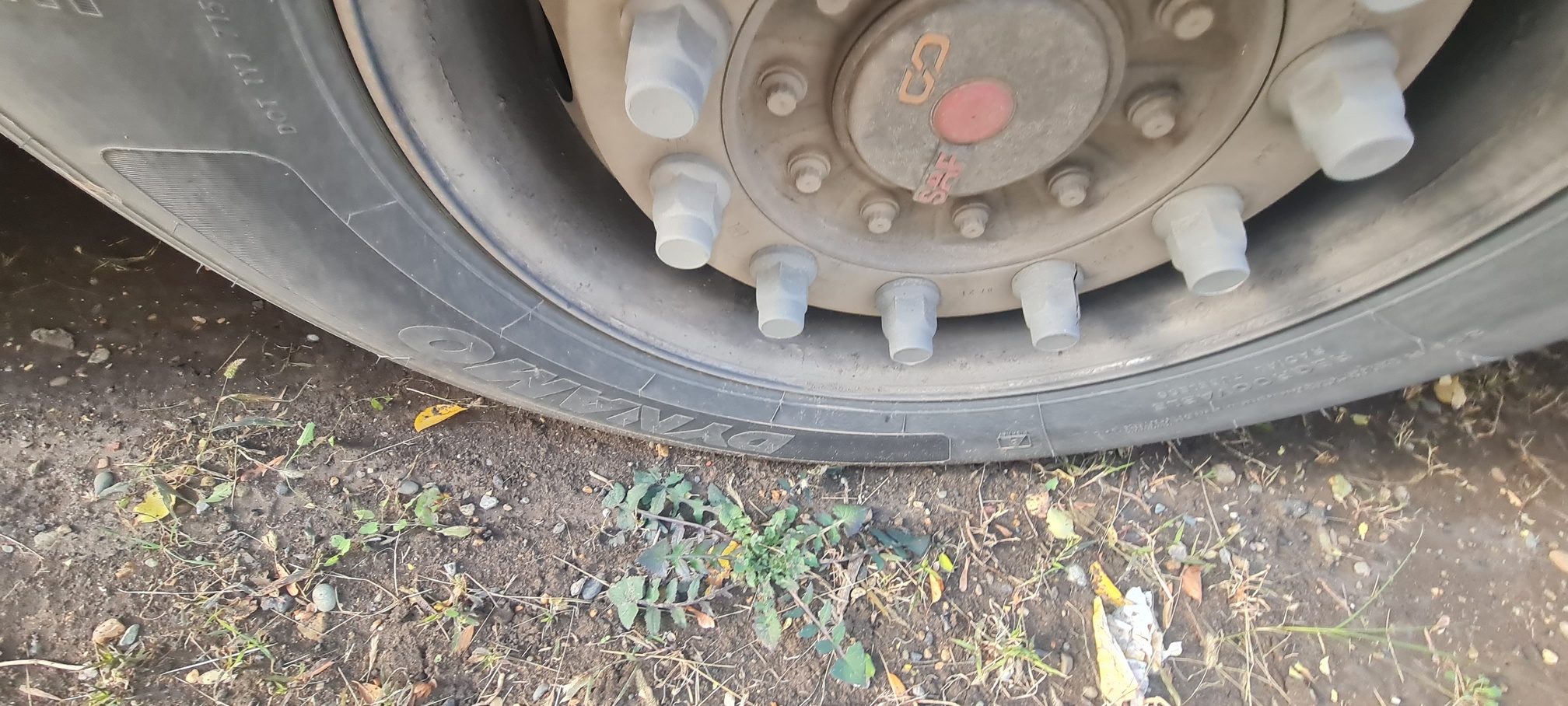 Полуприцеп рефрижератор СТТМ СARGOLINE 972200 2022 г. - фото 8