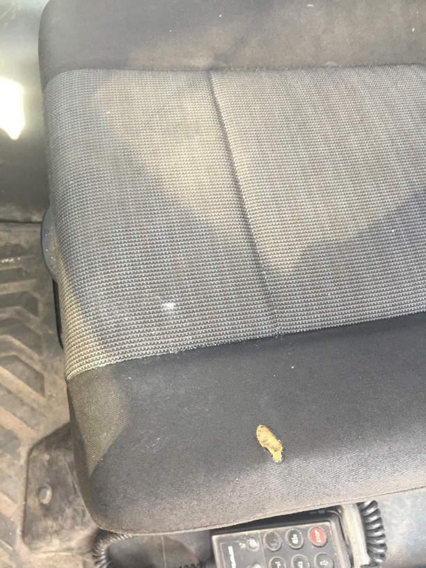 Седельный тягач КАМАЗ 5490-892-DC (газодизель) 2019 г. - фото 10