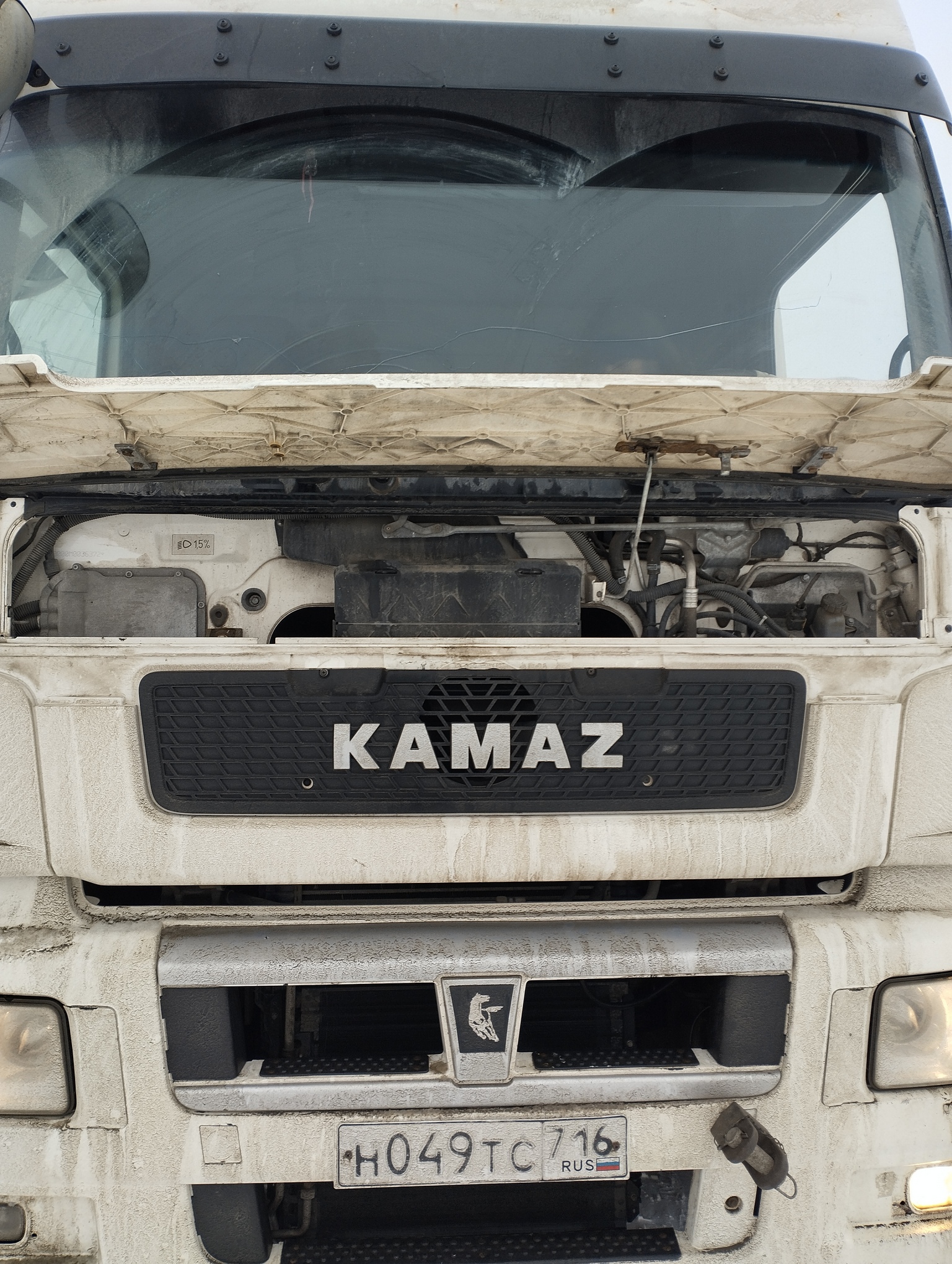 Седельный тягач КАМАЗ 5490-801-DC (газодизель) 2021 г. - фото 2