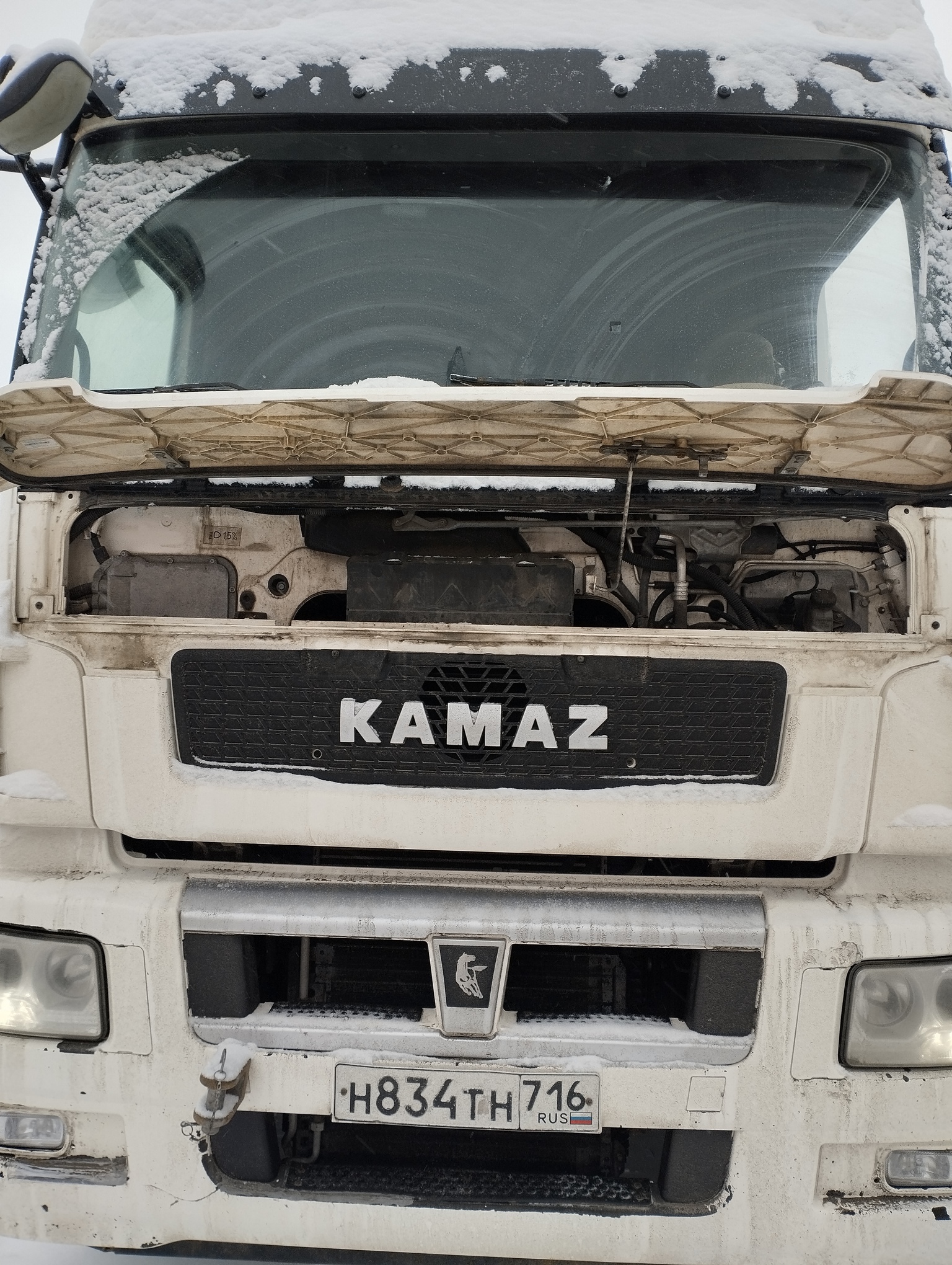 Седельный тягач КАМАЗ 5490-801-DC (газодизель) 2021 г. - фото 2