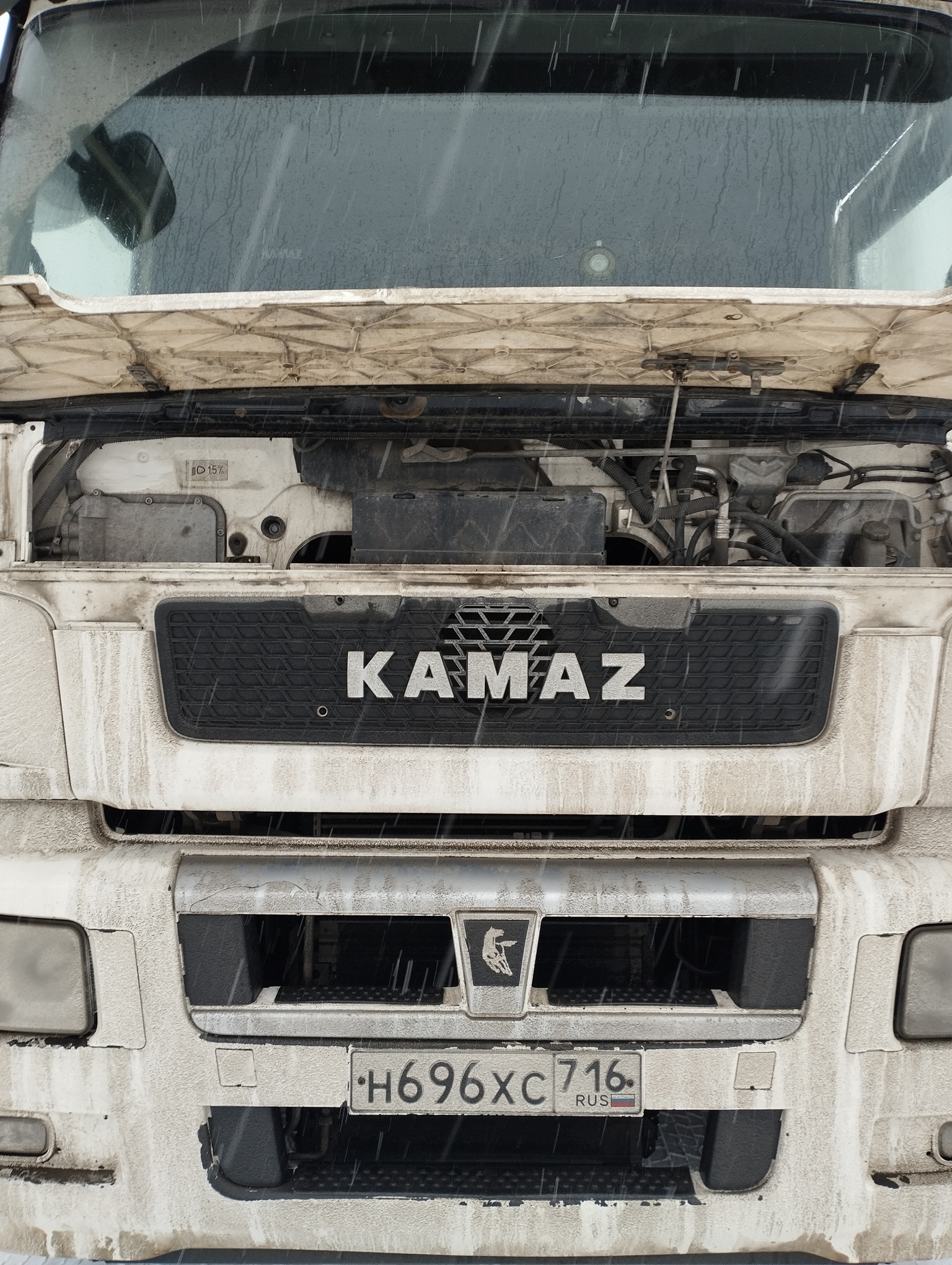 Седельный тягач КАМАЗ 5490-801-DC (газодизель) 2021 г. - фото 2