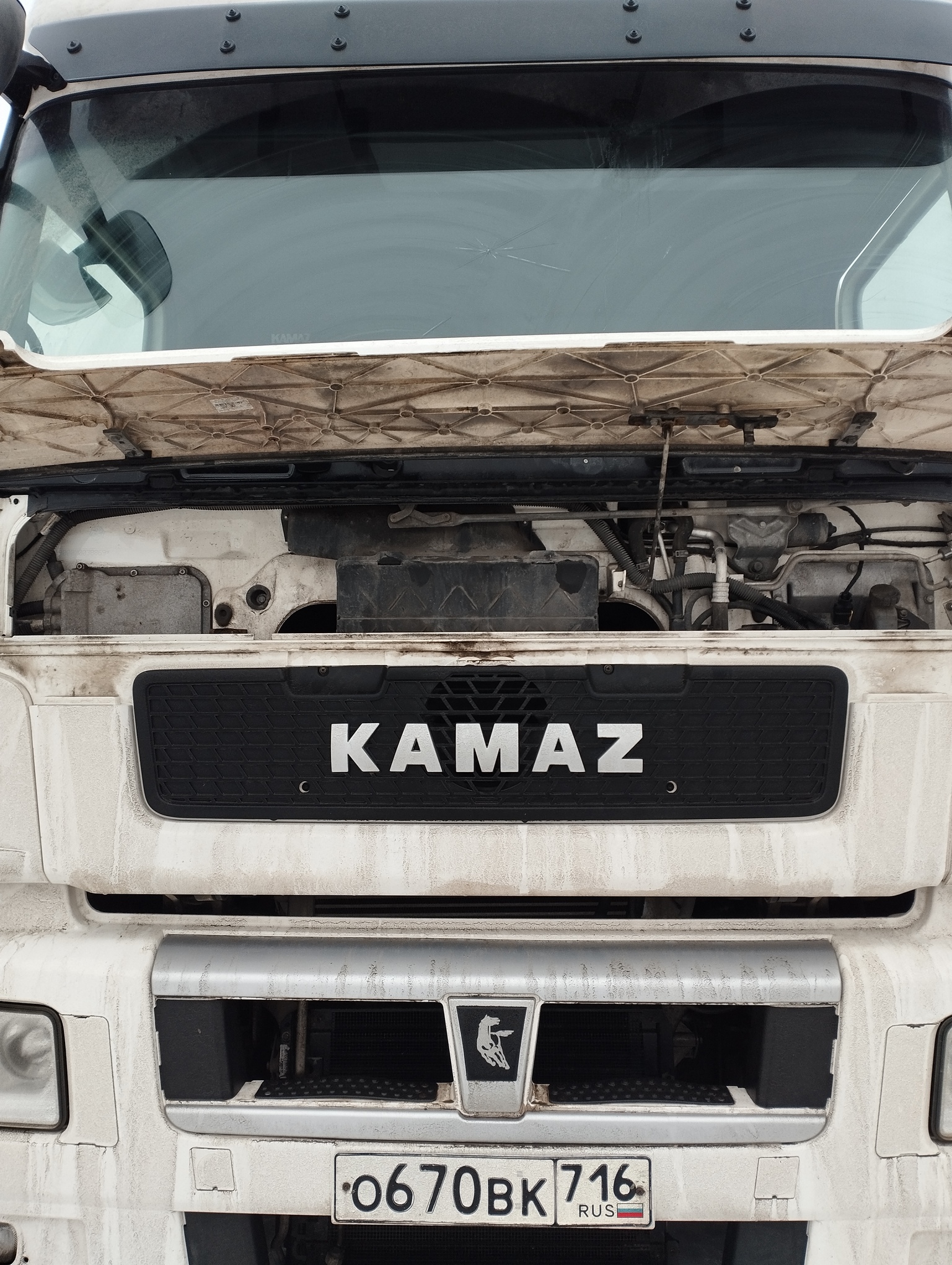 Седельный тягач КАМАЗ 5490-801-DC (газодизель) 2021 г. - фото 2