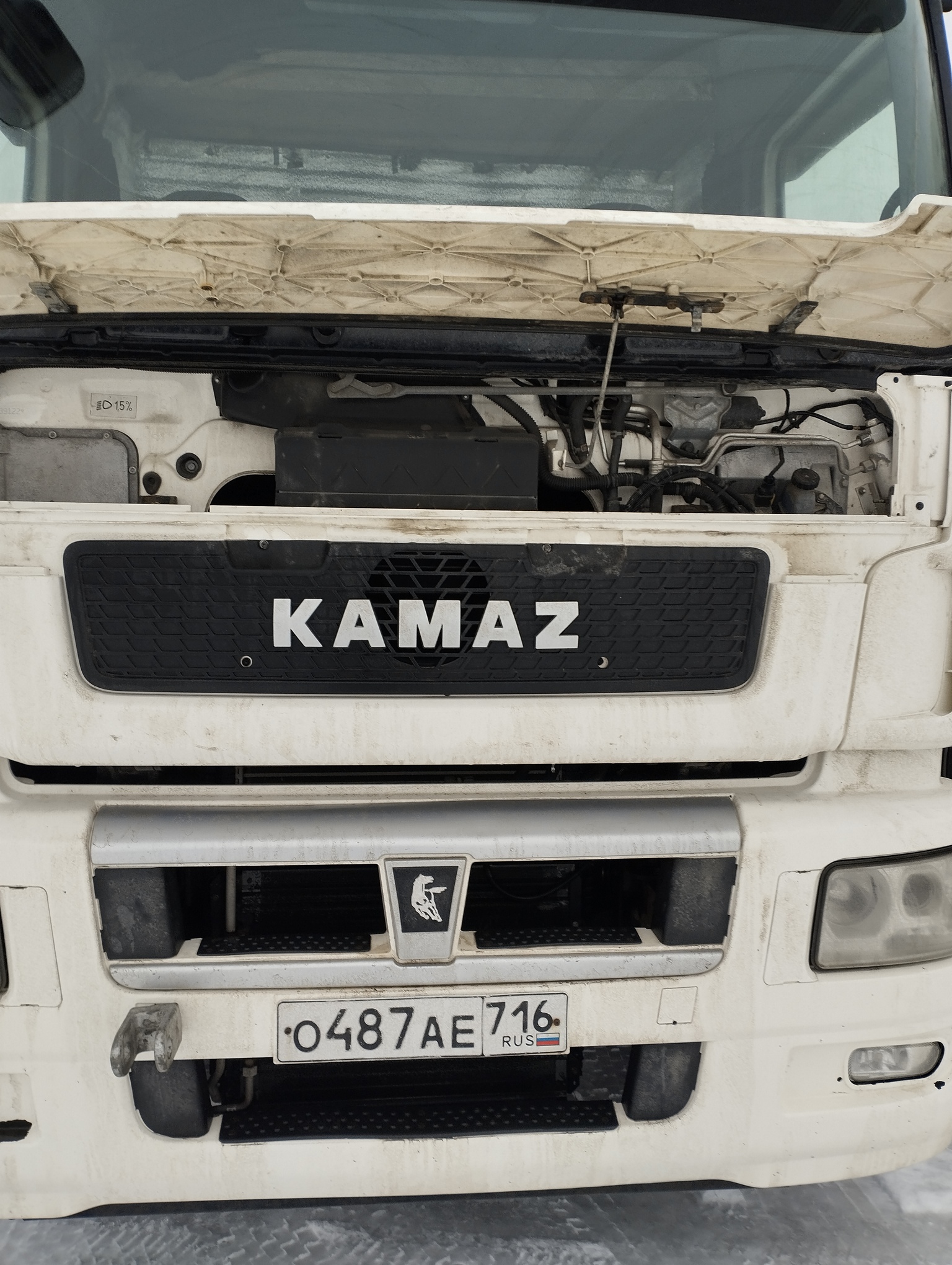 Седельный тягач КАМАЗ 5490-801-DC (газодизель) 2021 г. - фото 2