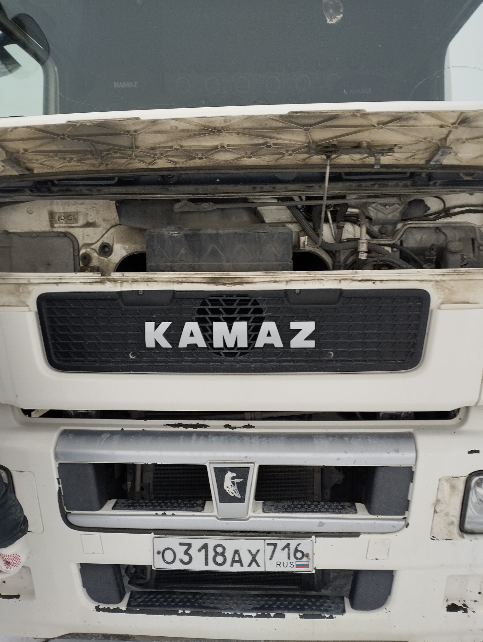 Седельный тягач КАМАЗ 5490-801-DC (газодизель) 2021 г. - фото 2