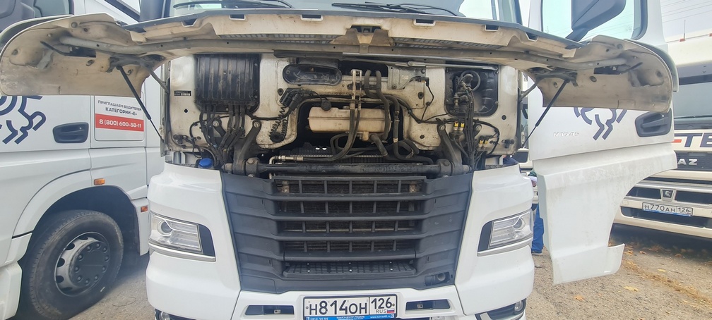 Седельный тягач КАМАЗ 54901-014-94 2022 г. - фото 13
