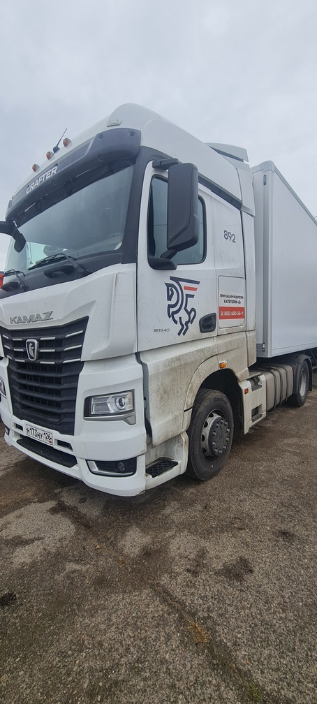 Седельный тягач КАМАЗ 54901-014-94 2022 г. - фото 21