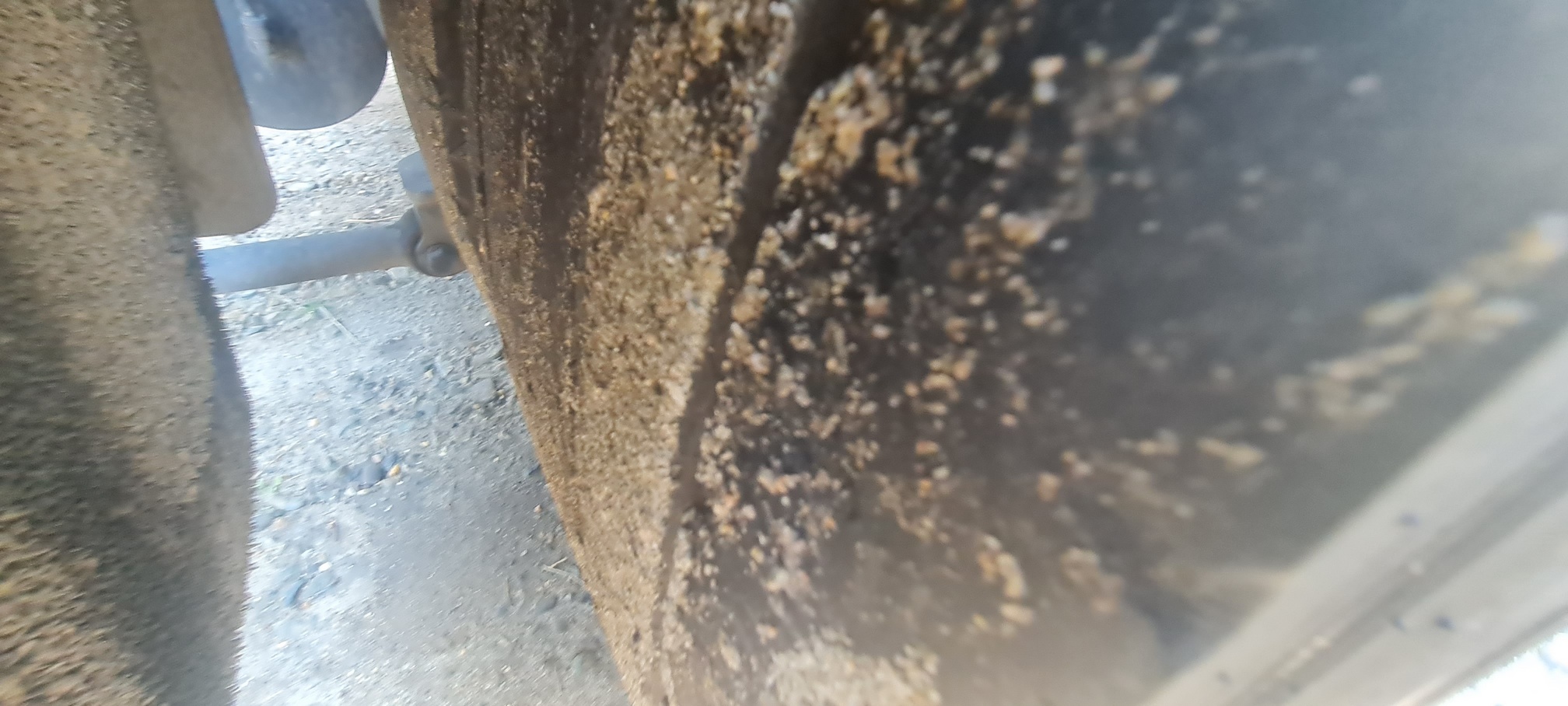 Седельный тягач КАМАЗ 54901-014-94 2022 г. - фото 17