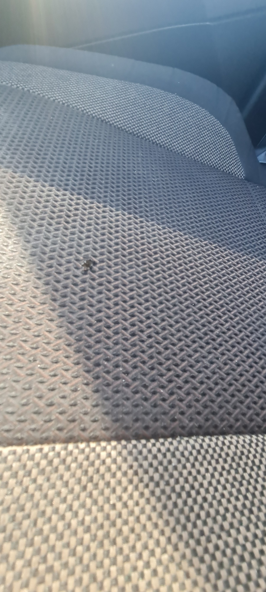 Седельный тягач КАМАЗ 54901-014-94 2022 г. - фото 26