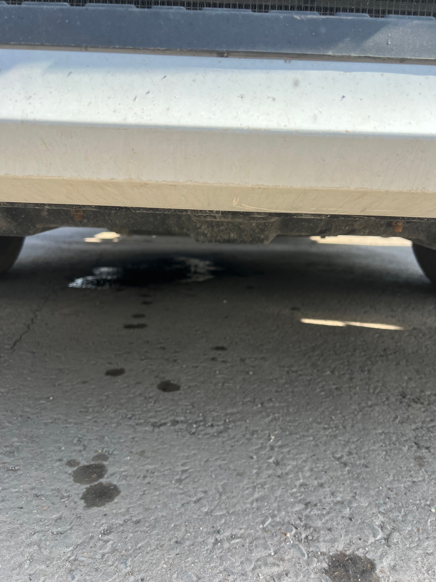 Седельный тягач КАМАЗ 54901-70014-СА 2023 г. - фото 6