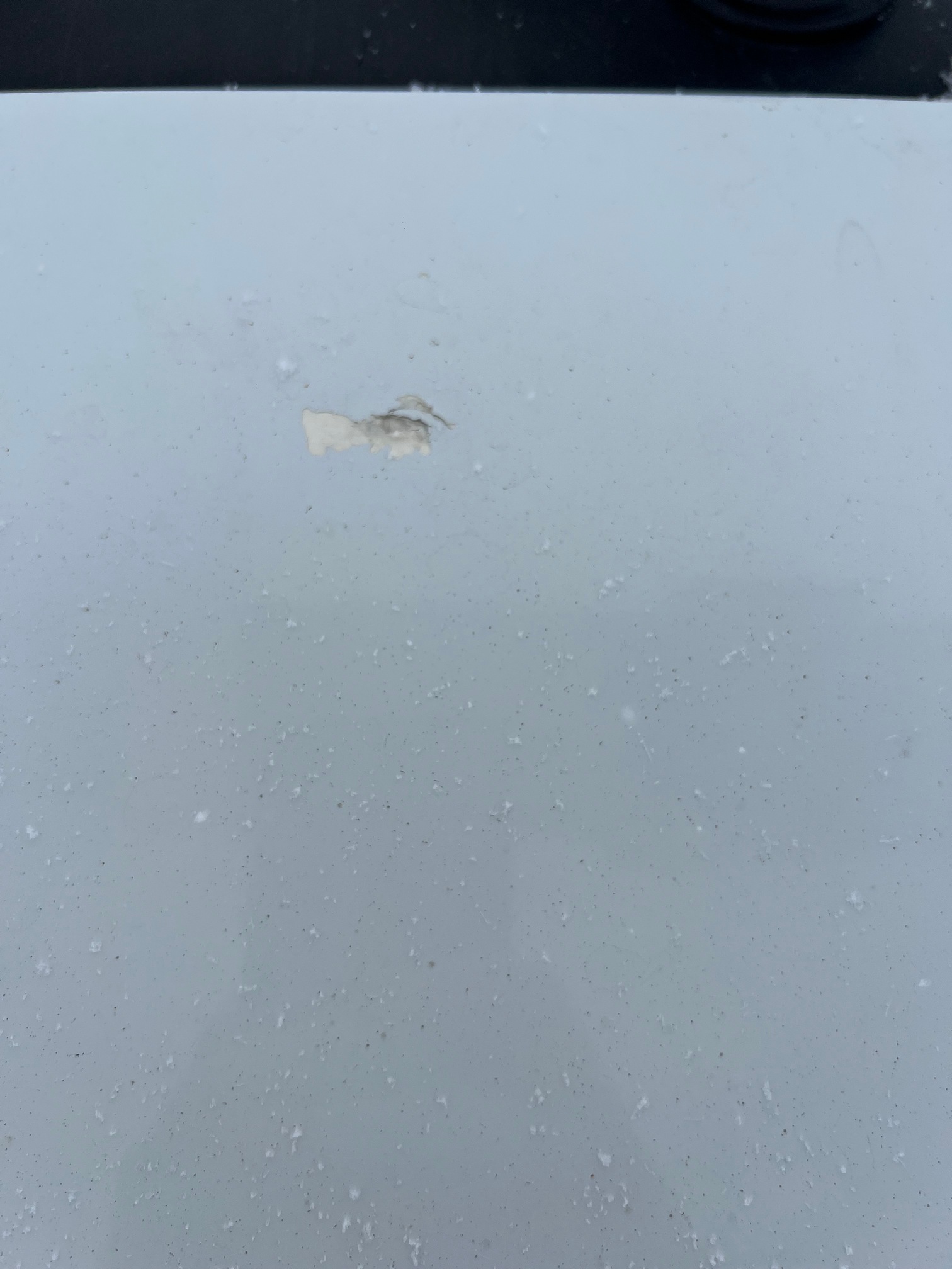 Седельный тягач КАМАЗ 54901-70014-СА 2024 г. - фото 9