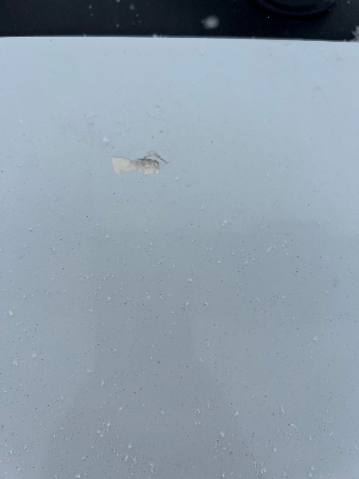 Седельный тягач КАМАЗ 54901-70014-СА 2024 г. - фото 10