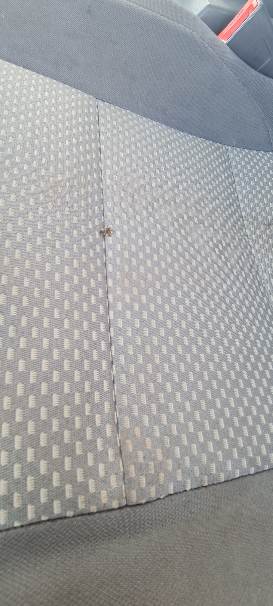 Компас 9 (а/м 47211С с бортов.платформой на ш.КАМАЗ 43089) 2023 г. - фото 37