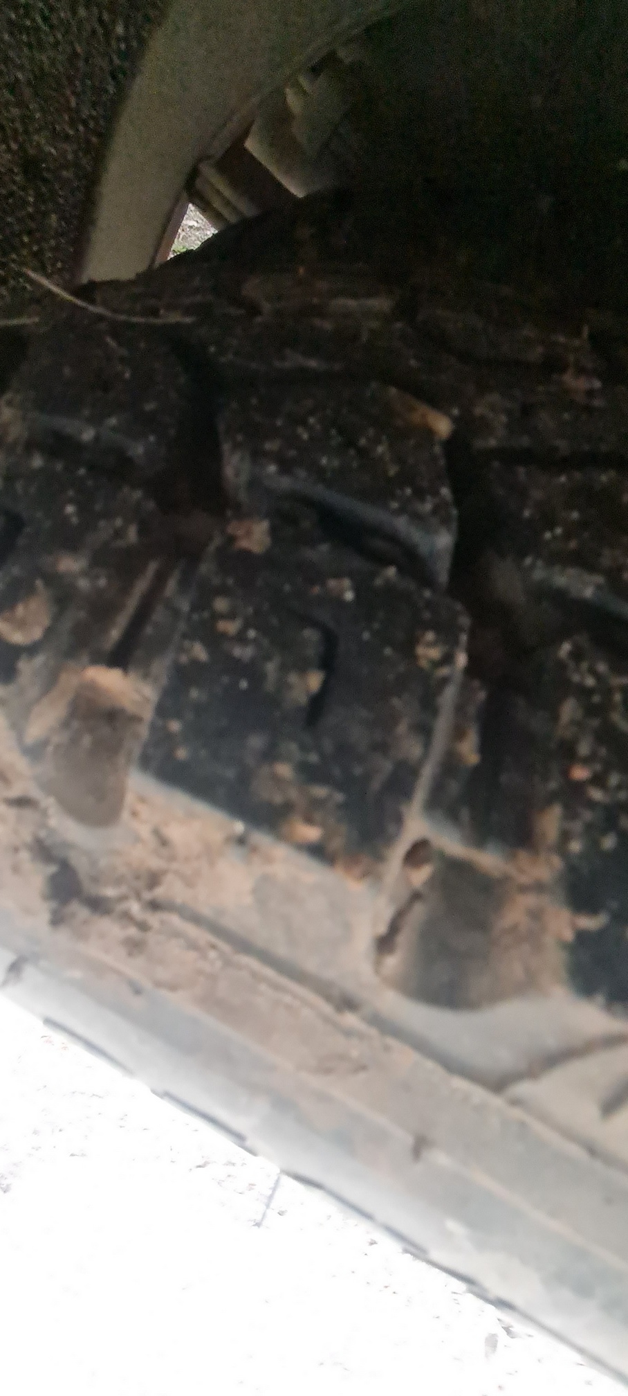 Компас 9 (а/м 4389 на ш КАМАЗ 43089-44511-F5) 2023 г. - фото 22