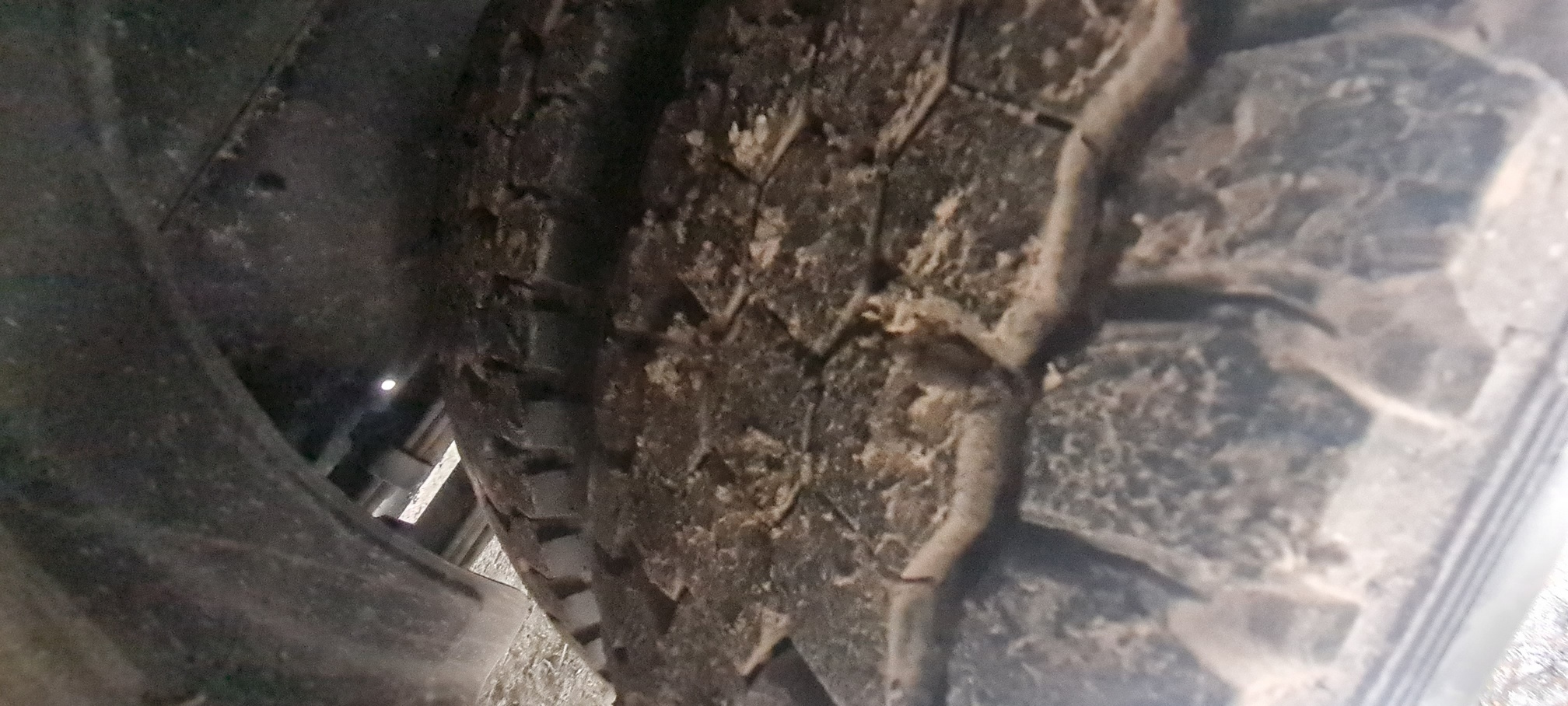 Компас 9 (а/м 4389 на ш КАМАЗ 43089-44511-F5) 2023 г. - фото 48