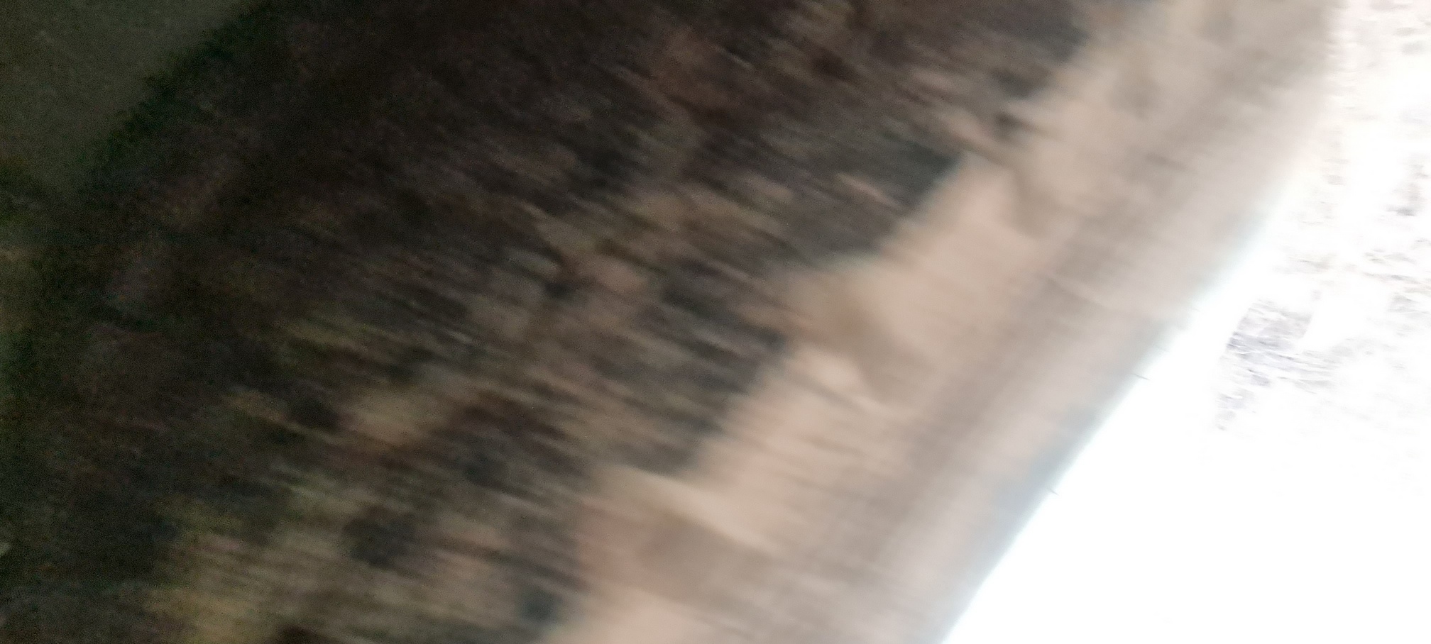 Компас 9 (ш-бортовой РУСТРАК 5389Е1 на ш КАМАЗ 43089-44511) 2023 г. - фото 26