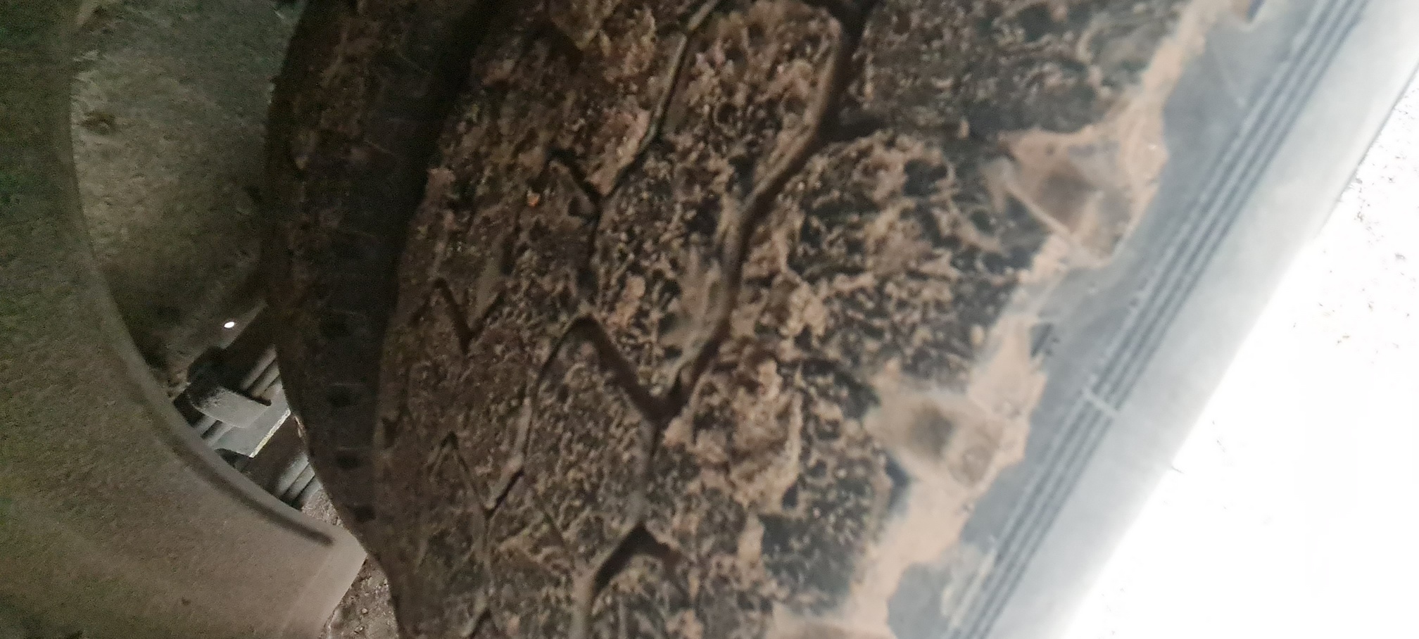 Компас 9 (ш-бортовой РУСТРАК 5389Е1 на ш КАМАЗ 43089-44511) 2023 г. - фото 44