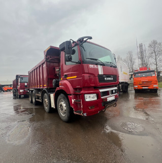 Самосвал КАМАЗ 65801-001-68 (T5)